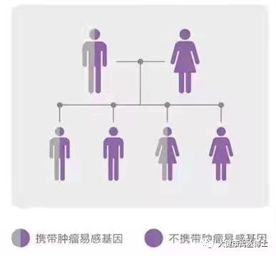 健康托付，關(guān)愛(ài)彼此 腫瘤基因檢測(cè)在療養(yǎng)院中的守護(hù)與溫度